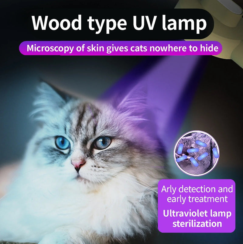 Pamper Your Feline Friend: Lush Homing's Luxury Cat Accessories