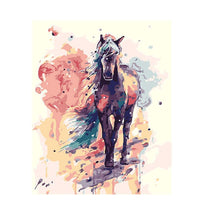 Oil Painting By Numbers Animal On Canvas With Frame