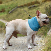 Instant Cooling Pet Bandana Dog Scarf Collar