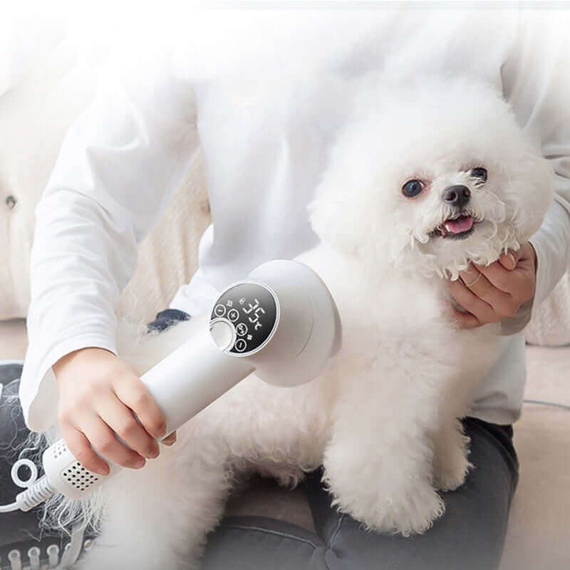 Smart Pet Haartrockner Hund