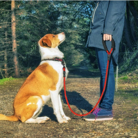 Reflective Dog Leash Nylon Pet Dog Leash