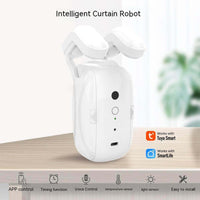 Wifi Curtain Robot Smart Home Roman Rod Electric Curtain Companion