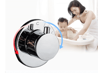 Shower Screen Constant with Temperature Control: Upgrade Your Shower Experience