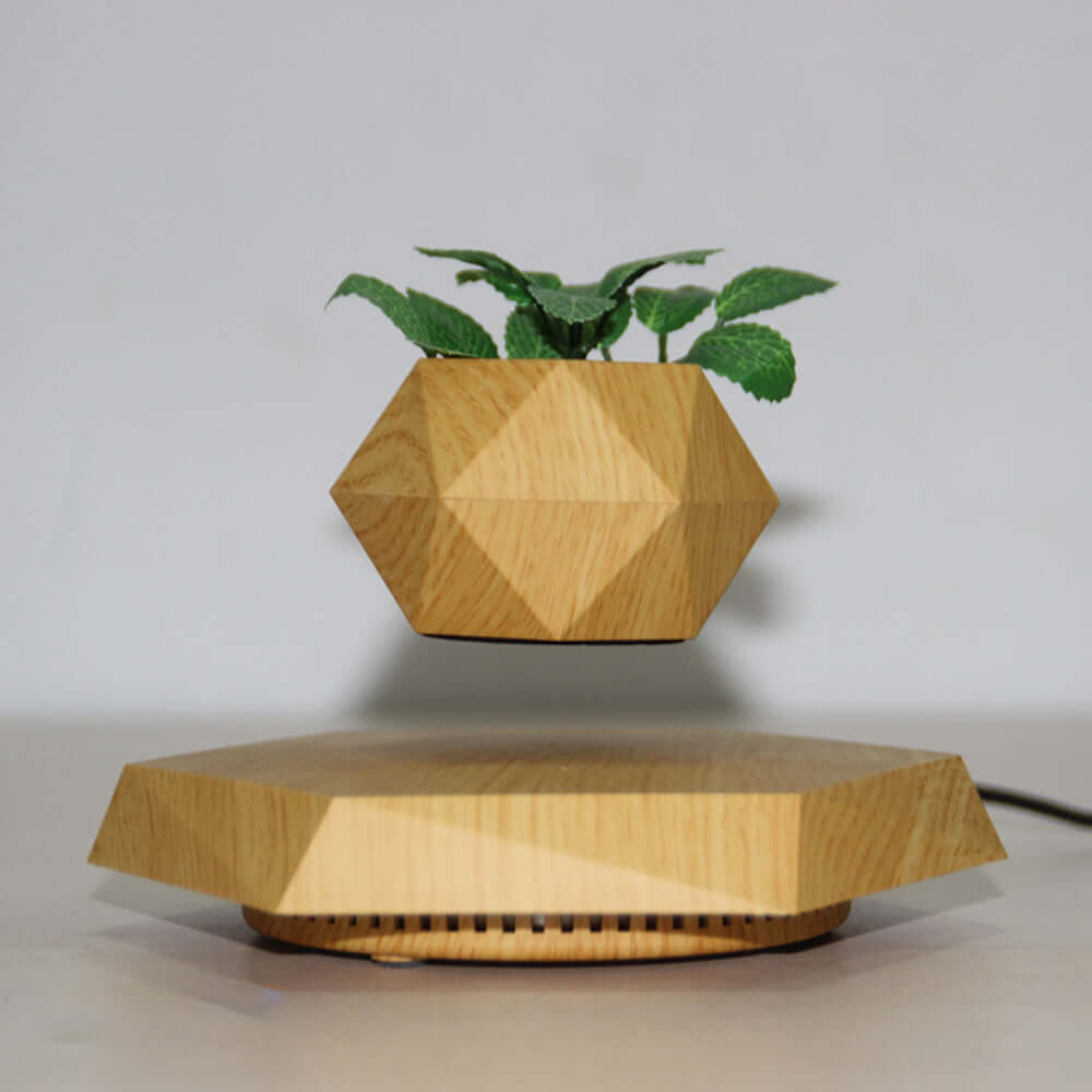 Floating Magnetic Levitating Flower Pot Bonsai Air Plant Pot