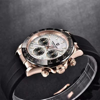 PAGANI Meteorite Dial Sapphire mirror Luminous Waterproof Man watch