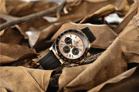 PAGANI Meteorite Dial Sapphire mirror Luminous Waterproof Man watch