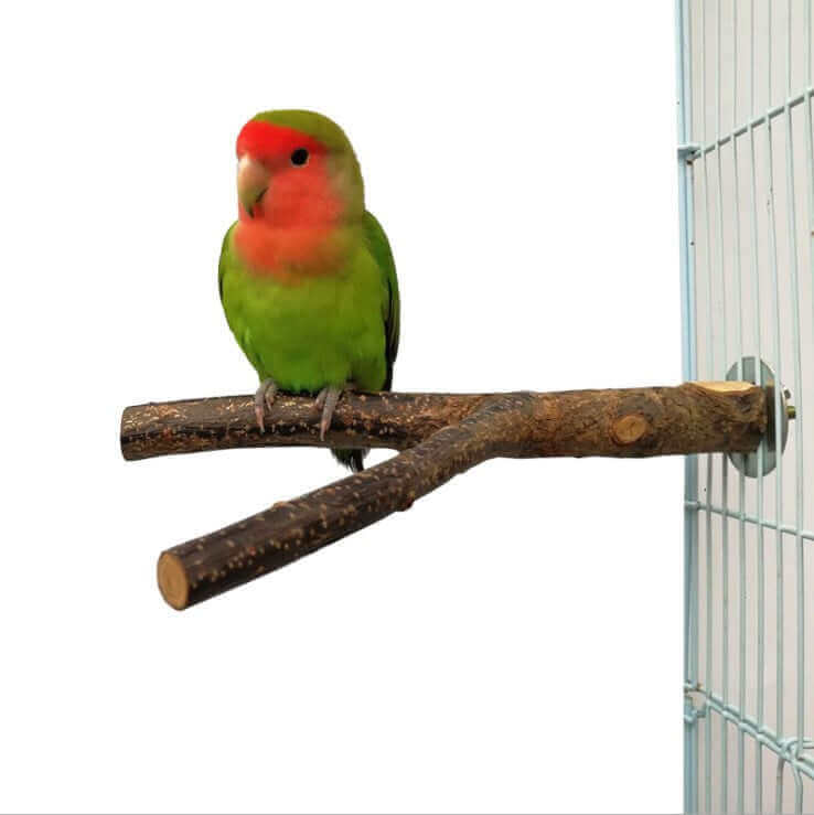 Vogel-Stehrahmen, Rattanring, Kauspielzeug, Vogelkäfig