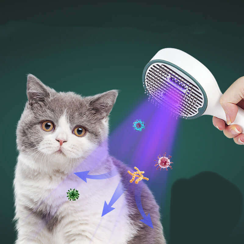 Haarbürste für Katzen-Sterilisationsreiniger, Haustierbedarf für Hunde